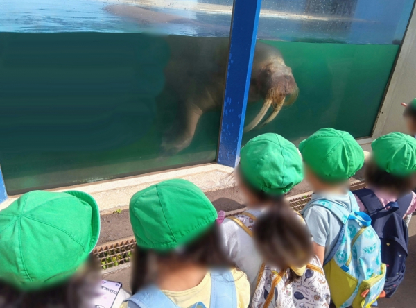 どんぐり保育室☆バス遠足～おたる水族館～☆