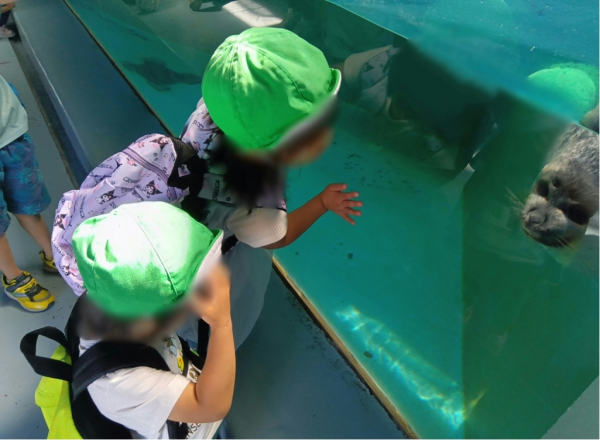 どんぐり保育室☆バス遠足～おたる水族館～☆